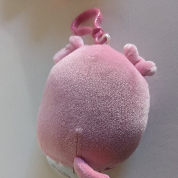 NWOT 3.5" Geraldine Pink Scottish Fold Tabby Cat Purse Clip Squishmallows Summer - Picture 4 of 5